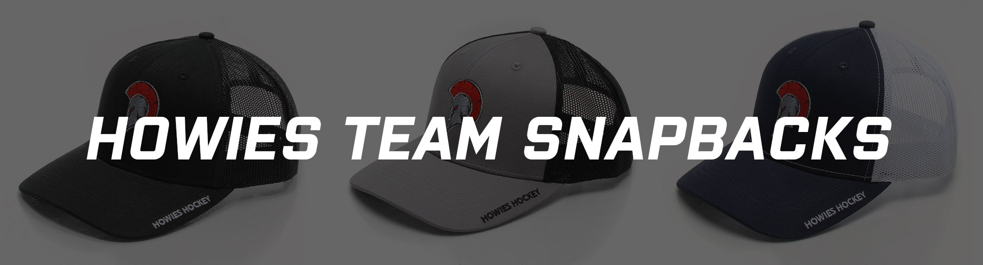 Howies Team Snapbacks