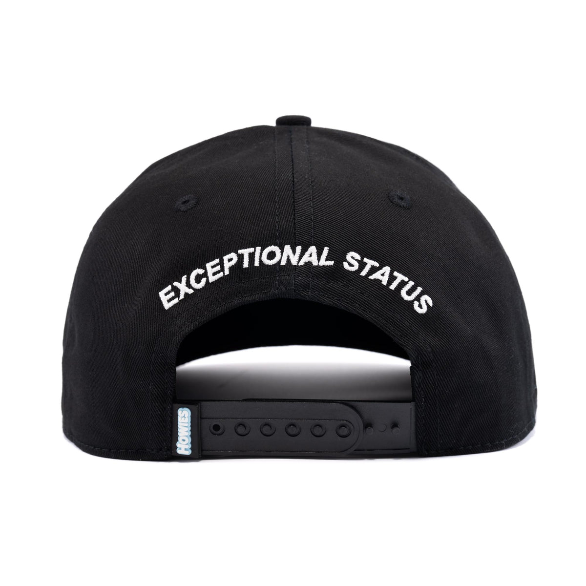 The Mich Lid Hats Howies Hockey Tape